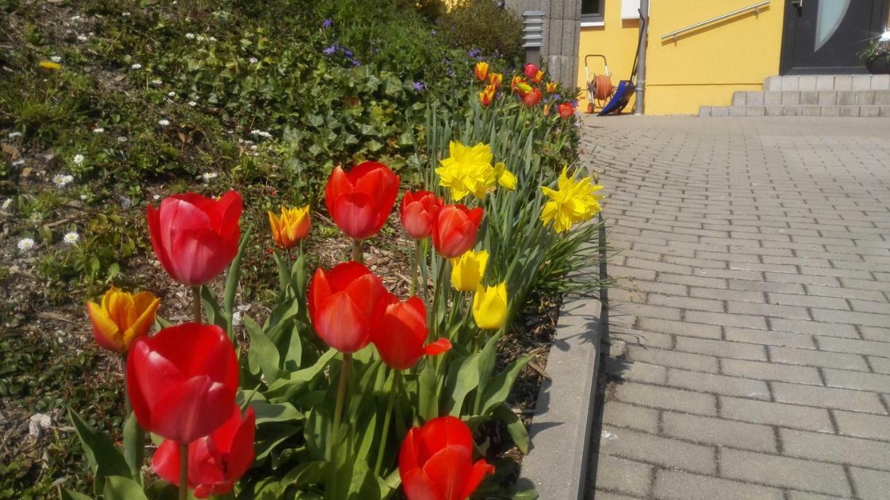 Ferienwohnung Oberpfannenstiel Bernsbach 외부 사진